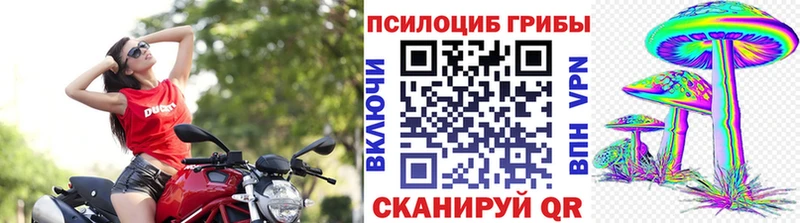 Псилоцибиновые грибы мицелий  Киров 